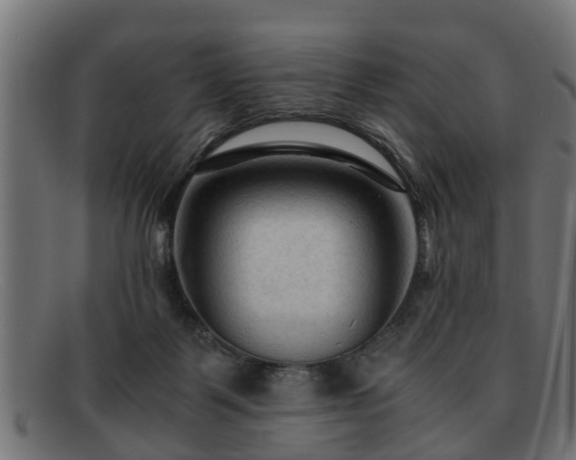 X0000091980123200709131419