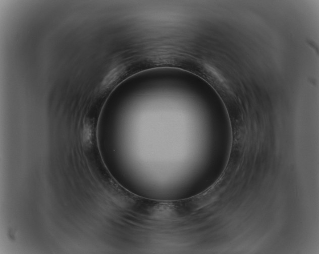 X0000091980124200709131419