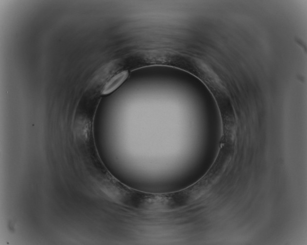 X0000091980125200709131419