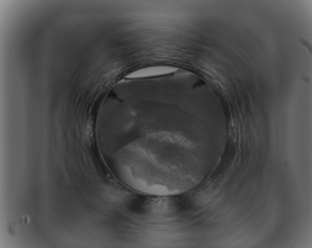 X0000091980127200709131419