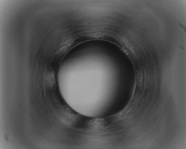 X0000091980128200709131419