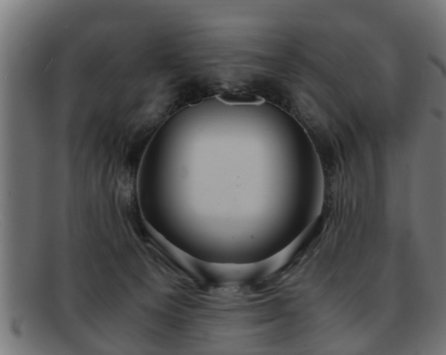 X0000091980129200709131419