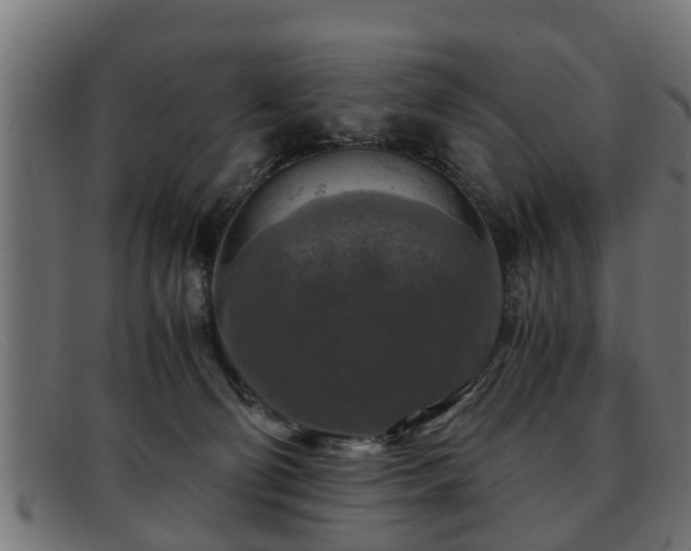 X0000091980130200709131419