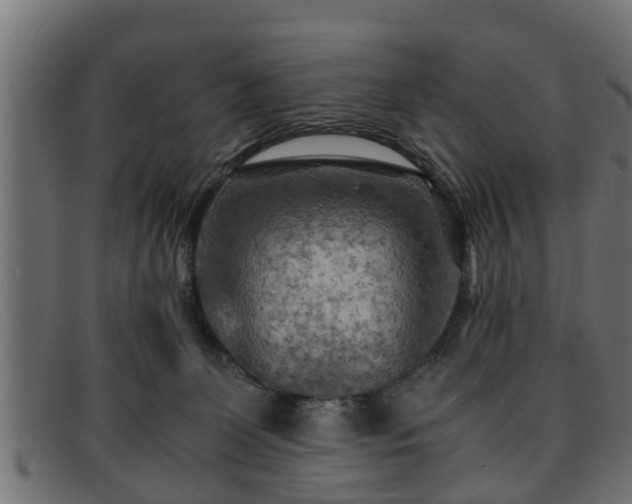 X0000091980131200709131419