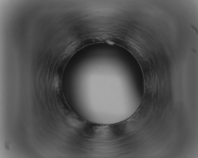 X0000091980132200709131419