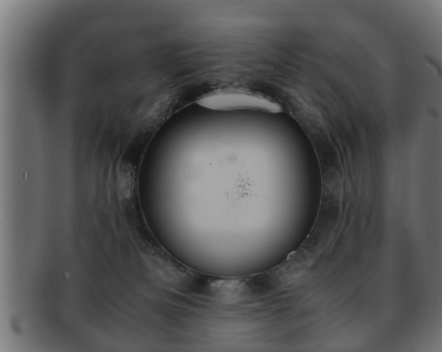 X0000091980133200709131419