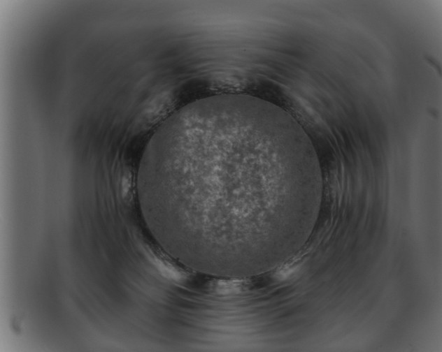 X0000091980134200709131419