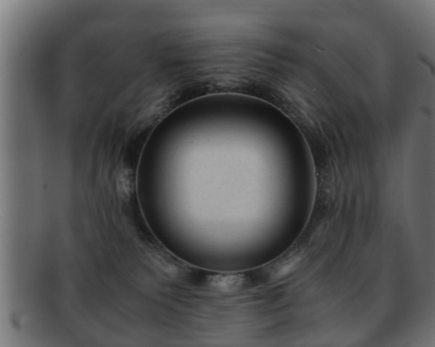 X0000091980135200709131419