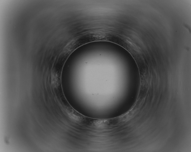 X0000091980136200709131419