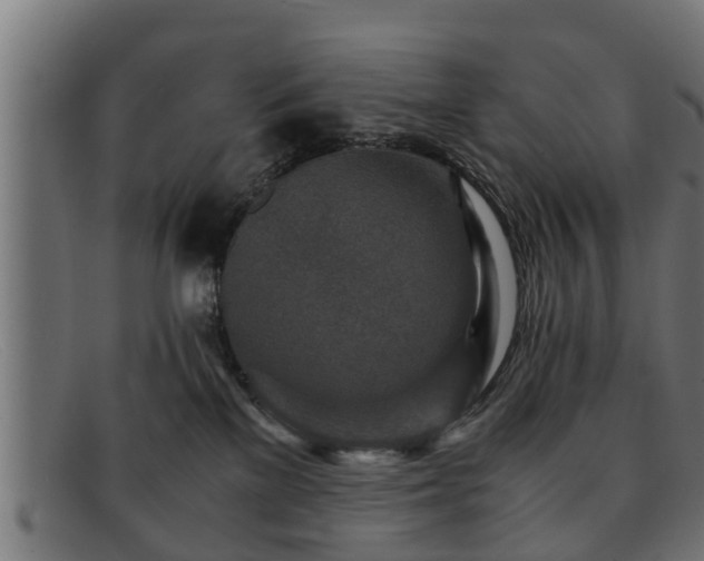 X0000091980137200709131419