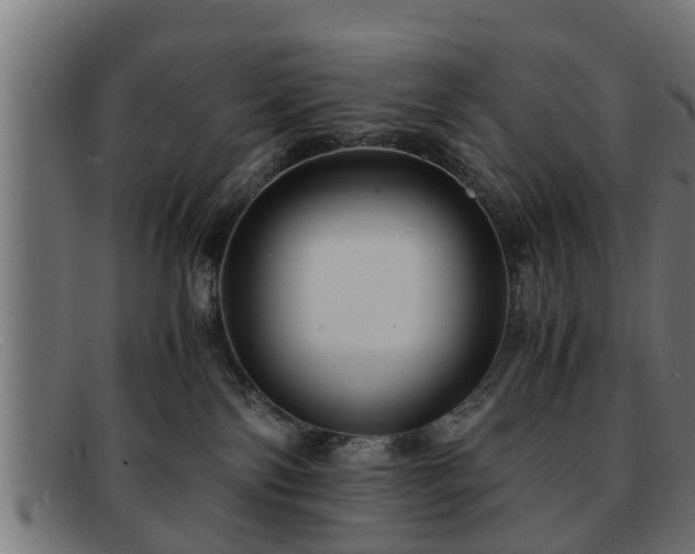 X0000091980138200709131419