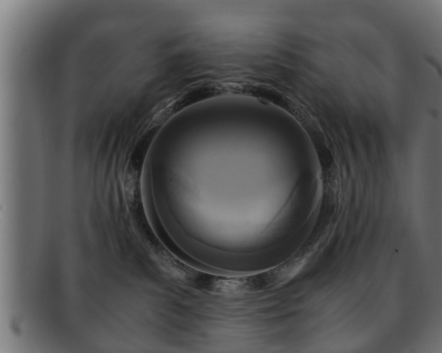 X0000091980139200709131419