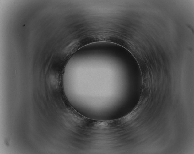 X0000091980140200709131419