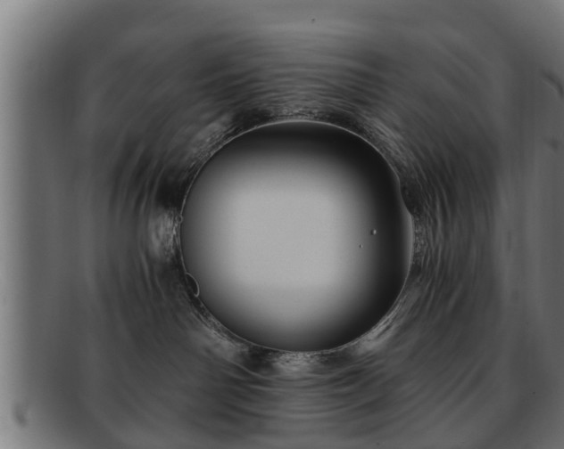 X0000091980142200709131419