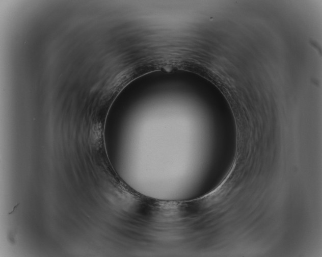 X0000091980144200709131419