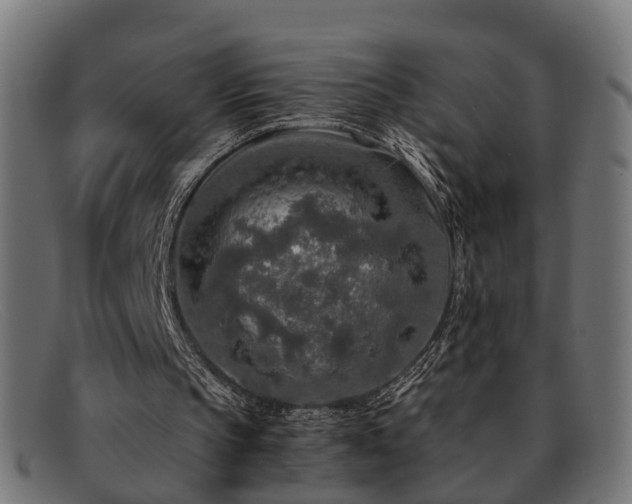 X0000091980145200709131418