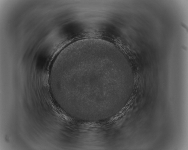 X0000091980146200709131418