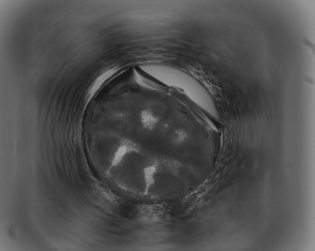 X0000091980147200709131418