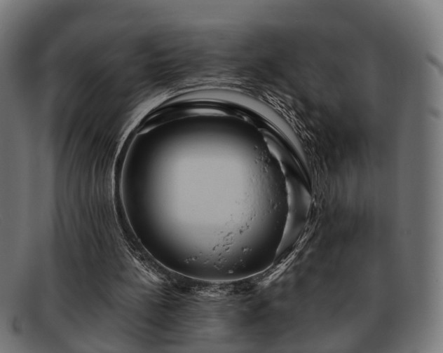 X0000091980148200709131418