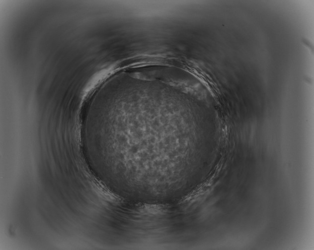 X0000091980149200709131418