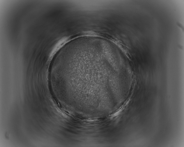 X0000091980151200709131418