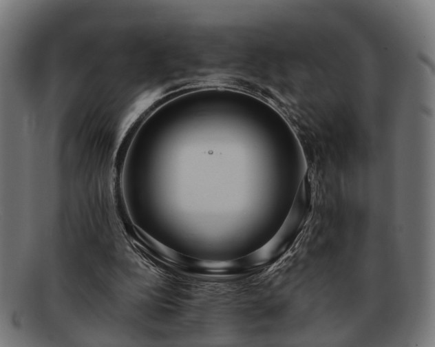 X0000091980152200709131418