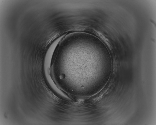 X0000091980153200709131418