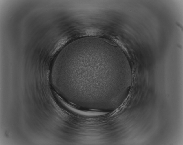 X0000091980154200709131418