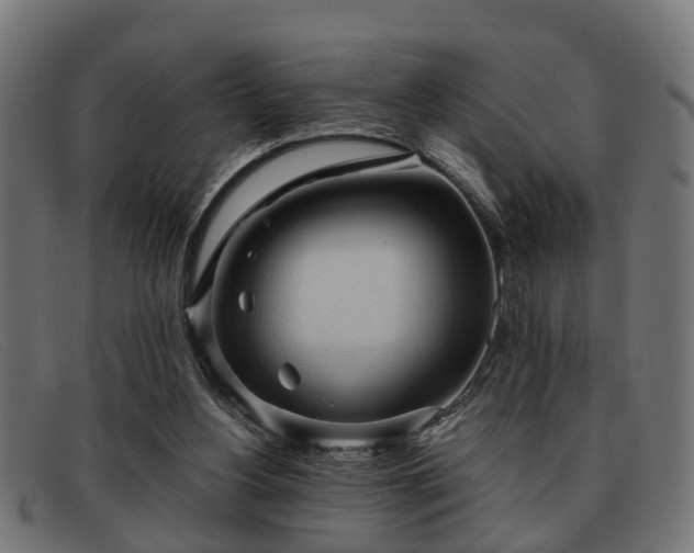 X0000091980156200709131418