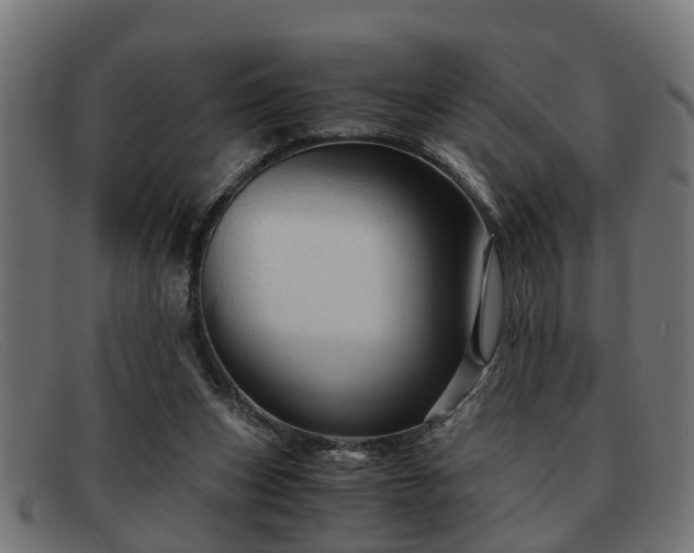 X0000091980159200709131418