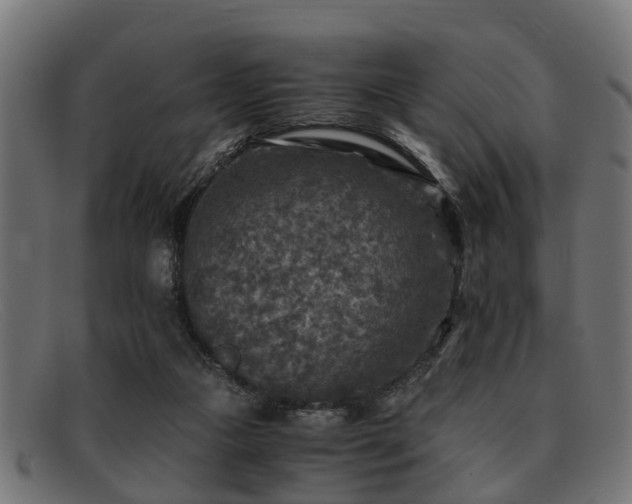 X0000091980161200709131418