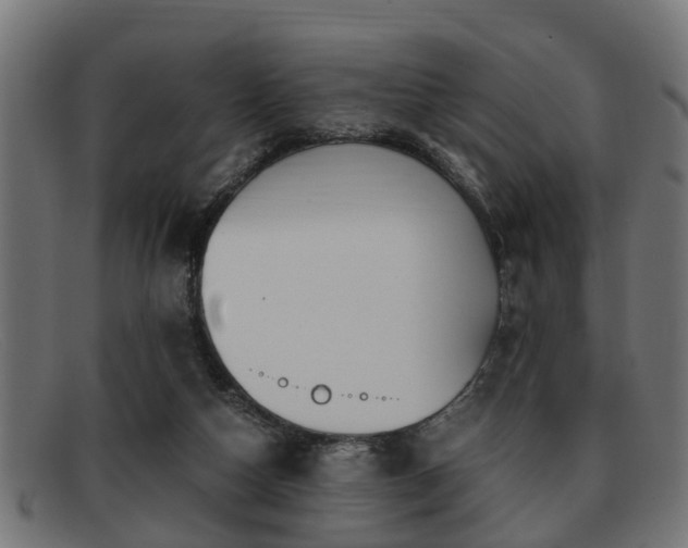 X0000091980162200709131418