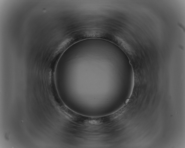 X0000091980163200709131418