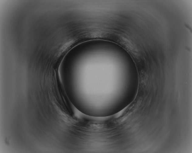 X0000091980164200709131418