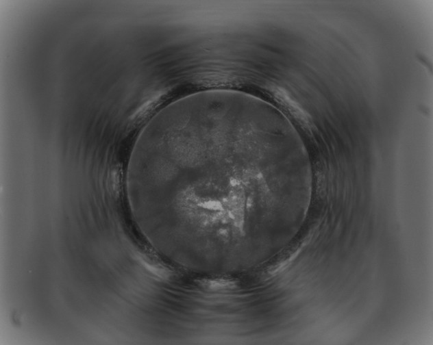 X0000091980165200709131418