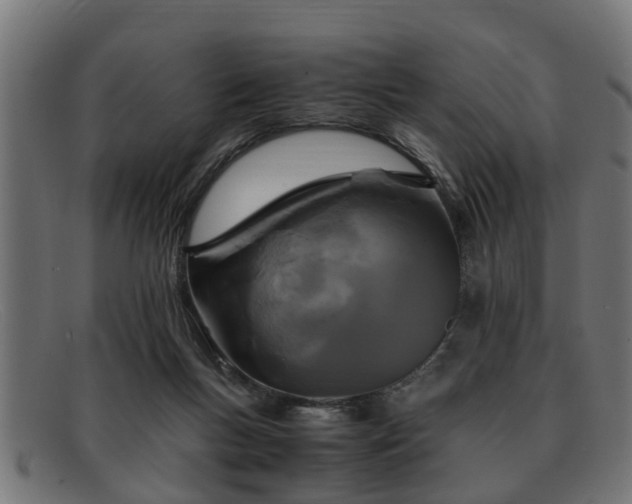 X0000091980167200709131419