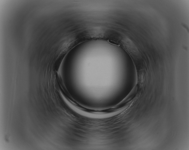 X0000091980172200709131419