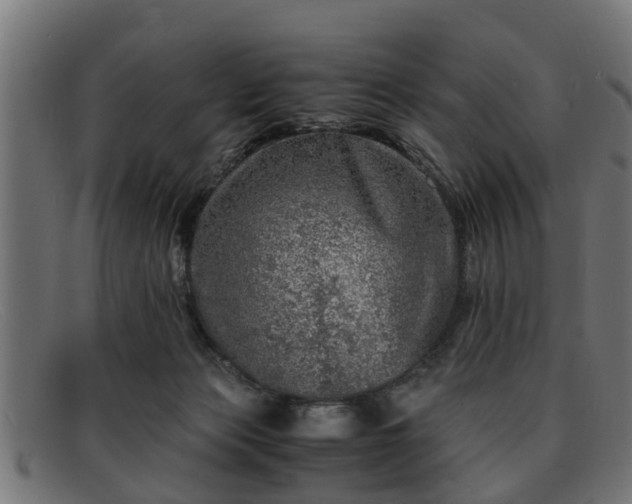 X0000091980173200709131419