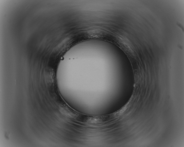 X0000091980174200709131419