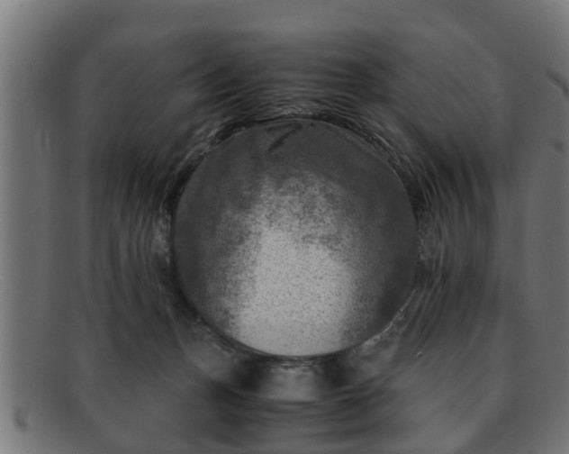 X0000091980175200709131419