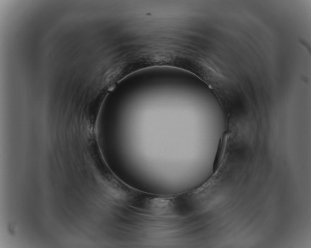 X0000091980176200709131419