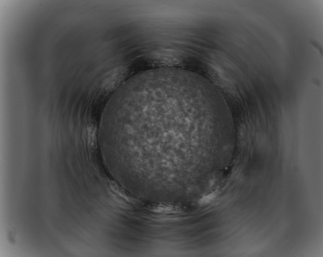 X0000091980177200709131419