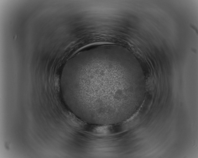 X0000091980178200709131419