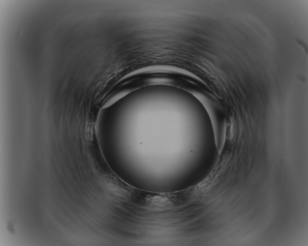 X0000091980180200709131419