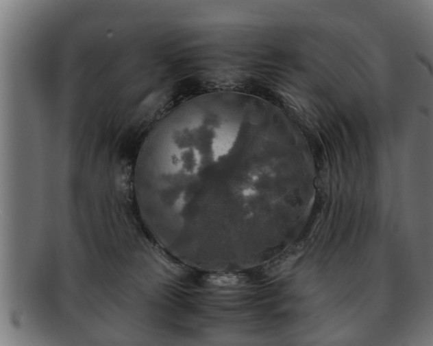 X0000091980181200709131419