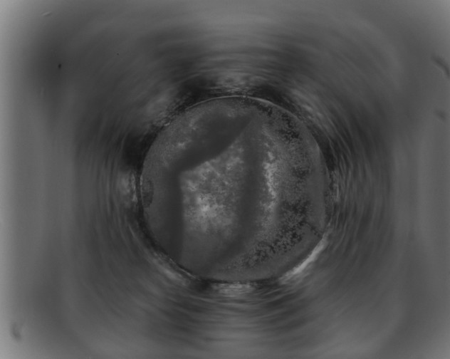 X0000091980182200709131419