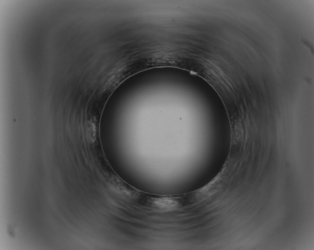 X0000091980183200709131419