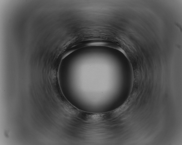 X0000091980184200709131419