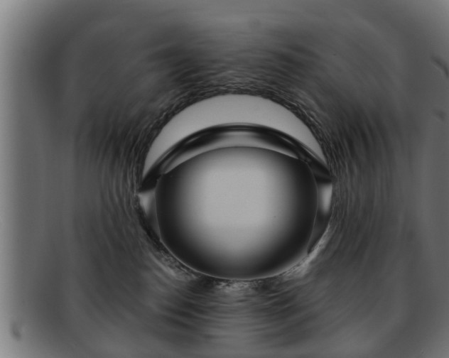 X0000091980186200709131419