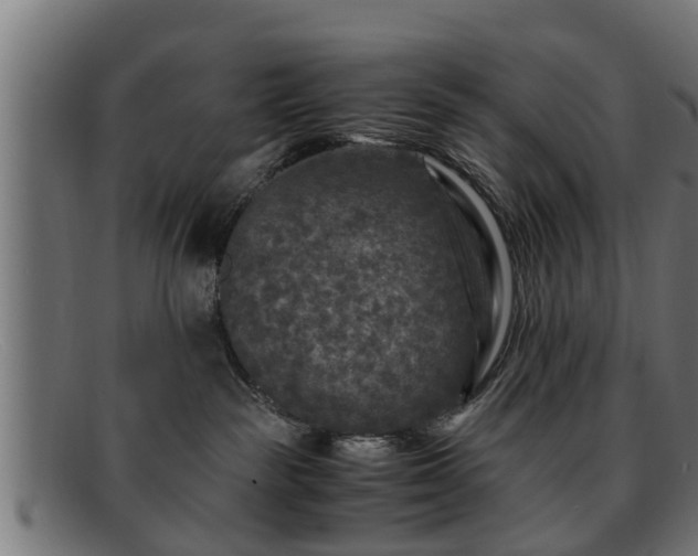 X0000091980189200709131419